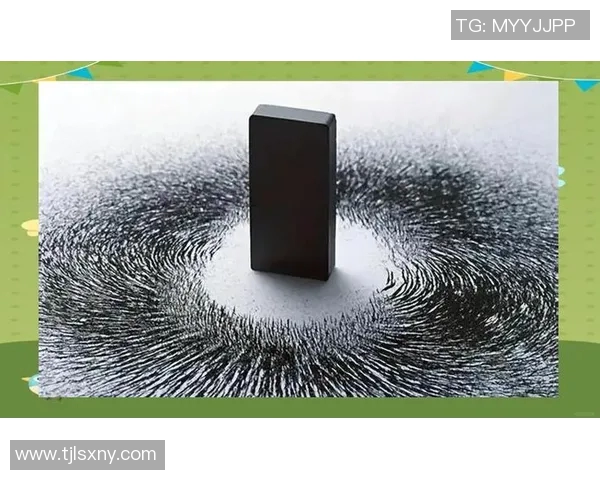 探索vs073的独特魅力与应用前景,揭示其在科技领域的潜在价值与影响力